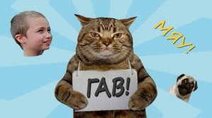 МЯУ-ГАВ-МЯУ  АРСЕНИЙ-С.