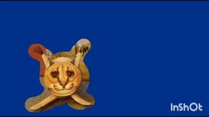 шлёпа из блоптопа футажи для всех