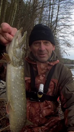 СЕЙЧАС ПЕРЕКУСИТ ЛЕСКУ.