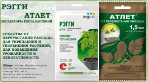 Рэгги и Атлет - регуляторы роста для укоренения растений и борьбы с перерастанием рассады. Обзор