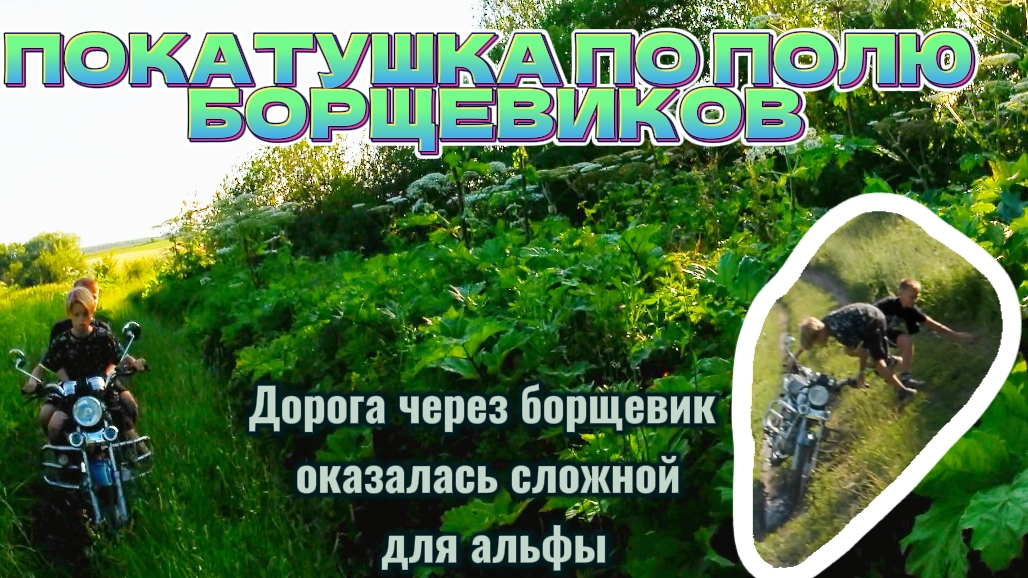 ПОКАТУШКА ПО ПОЛЮ БОРЩЕВИКОВ  Для альфы дорога оказалась сложной