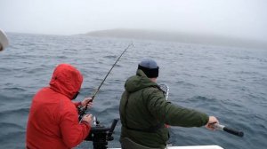 Троллинг симы в Амурском заливе