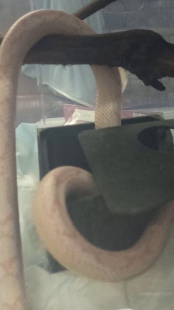 С Карамелькой скучно не бывает! 30 ноября 2025 г. смотреть онлайн