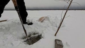 Проверка удочек. 8 день.