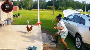 Смешные моменты снятые на камеру