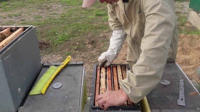 Подготовка поздних отводков к зимовке. смотреть онлайн