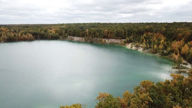 ROSE - Oleg Sergeev (ewi)