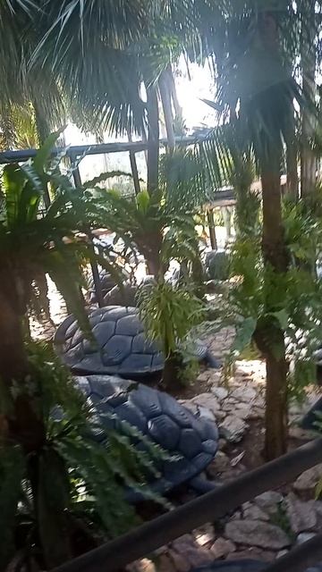 Это взорвёт твой мозг 🤯 Что скрывает Nong Nooch? смотреть онлайн