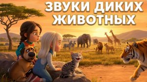 Звуки диких животных | Голоса зверей из джунглей, саванны, леса и пустыни