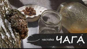 Чага - настойка на древесном грибе