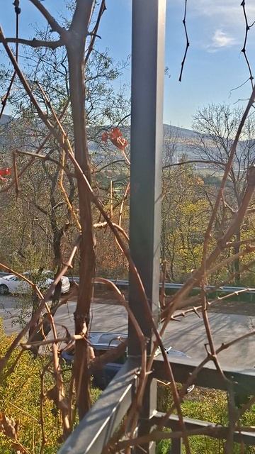 Крымские виды смотреть онлайн