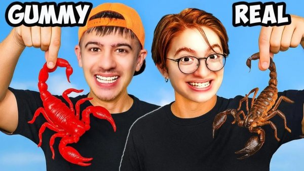 ЖЕВАТЕЛЬНАЯ ЕДА VS НАСТОЯЩАЯ ЕДА