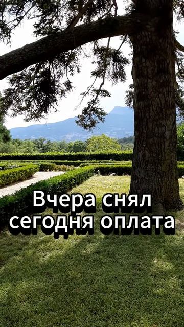 Подошли ко Дворцу. #мост, #крымскиймост, #керчь, #тамань,  #ялта, #крым, #кубань, #алушта, #горы,