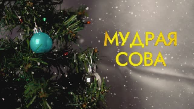 Районный конкурс творческих работ "Мудрая сова" смотреть онлайн