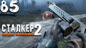 УГОЛКИ ПРИПЯТИ (85) ► Сталкер 2 Сердце Чернобыля