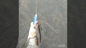 стикбэйты осенью