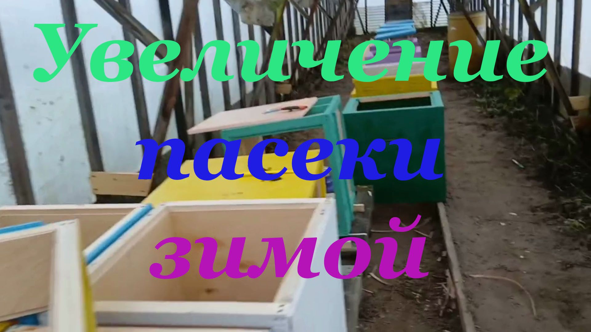 Что я делаю для увеличения и усиления пасеки зимой смотреть онлайн