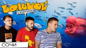 Погружение к акулам, обед со слонами, самые высокие качели в мире | Большой сюрприз в Сочи