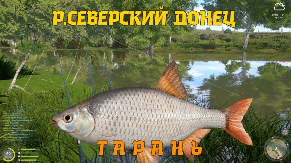 Русская рыбалка 4.  Северский Донец. Тарань. Точка для Фарма!!!