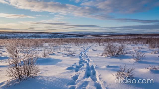 Артём Гельман - Признание