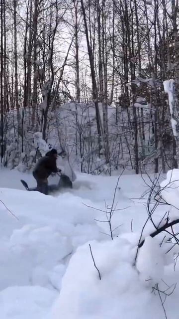 Мощный буран 70лс. смотреть онлайн