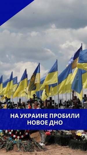 Новые традиции на Украине? Теперь на могилы боевиков ВСУ приносят «Макдональдс»