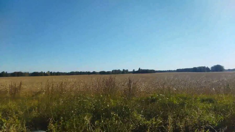 СЕНТЯБРЬ. ПОЕЗДКА В ЛЕС смотреть онлайн