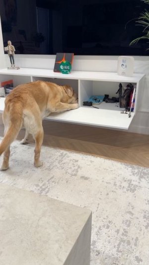 Ну так бы и сразу сказал 😁