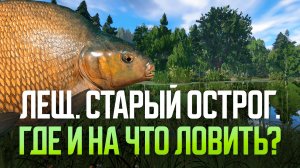 300-450 серебра за ночь. Лещ. Старый Острог ● Русская рыбалка 4 ● Перчик РР4