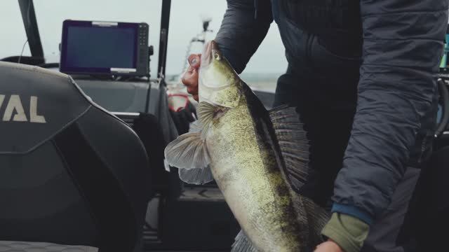 "РЫБОЛОВНЫЙ СПОРТ" Hot Spot Zander