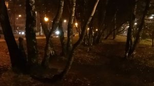 Прогулка декабрьским вечером по аллее сквера