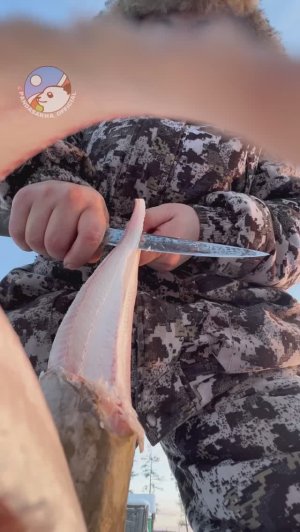 Деликатесы pandasakha #shorts