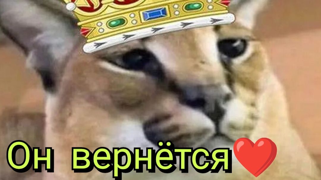 Я возвращаюсь к вам! смотреть онлайн