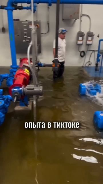 Знакомо?!) Чтобы не тонули приямки ваших бассейнов - учиться нужно на PoolM. смотреть онлайн