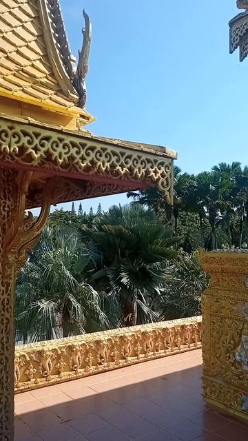 Природа не спешит. Почему мы — да? Что скрывает Nong Nooch? смотреть онлайн