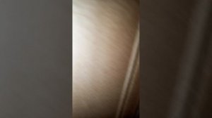 обновление дома Лютика.