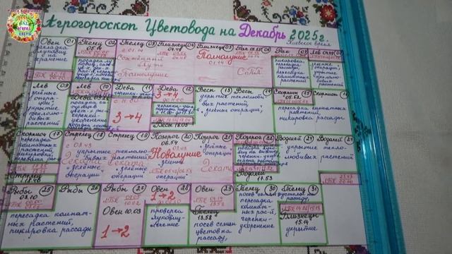 Лунный календарь цветовода на декабрь 2025: когда сажать и пересаживать? смотреть онлайн