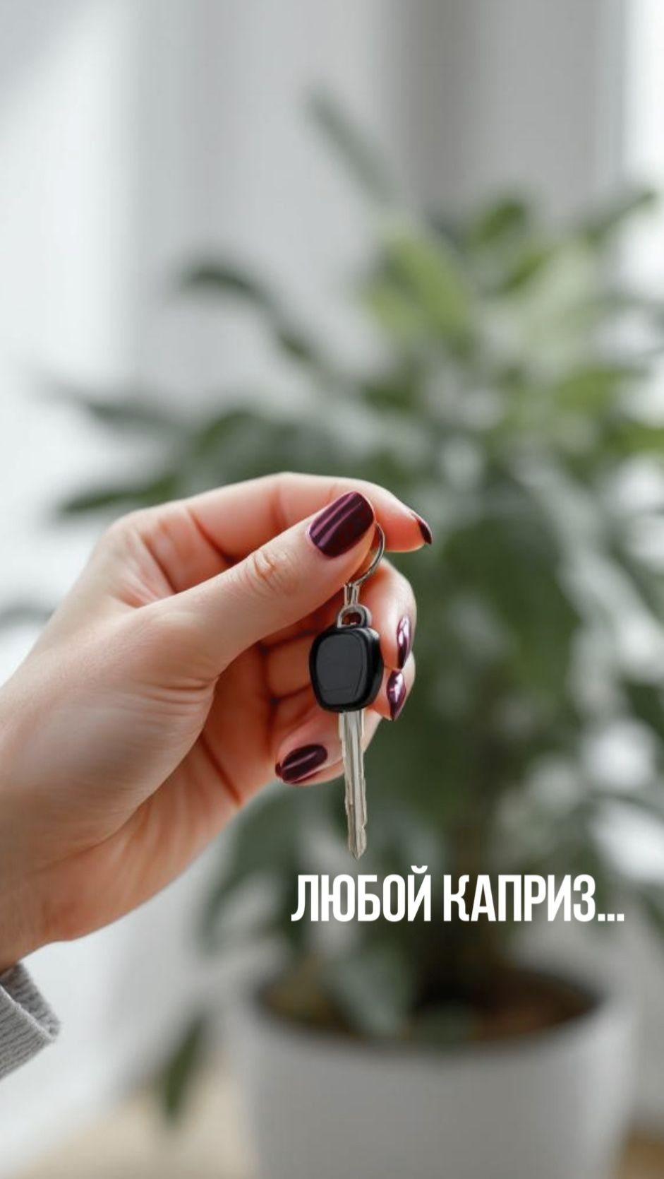Любой каприз за ваши деньги! смотреть онлайн