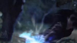 хз чё зделал хотел с котами видео зделать