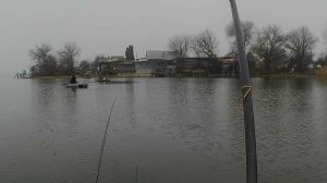 Рыбалка в станице Курской за Плотвой.