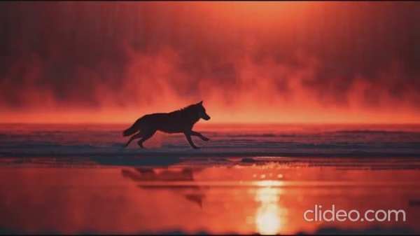 Eurozia Gothic Blues-Rock Ballad