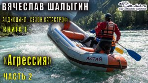 Вячеслав Шалыгин "Приключения Андрея Лунева" (книга 1) "Агрессия" (часть 2)