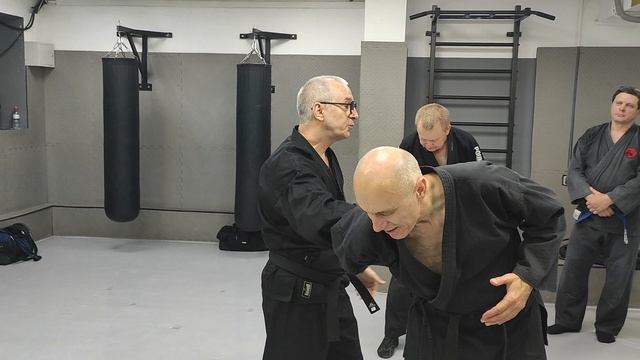 джиу-джитсу феникс смотреть онлайн