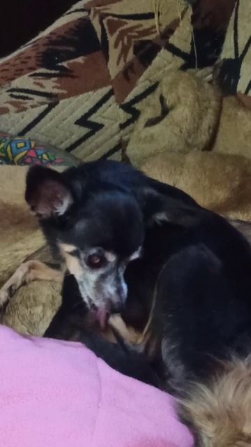 Джоник и Туся. 26 ноября 2025 г. смотреть онлайн