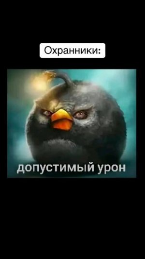 Субо братик