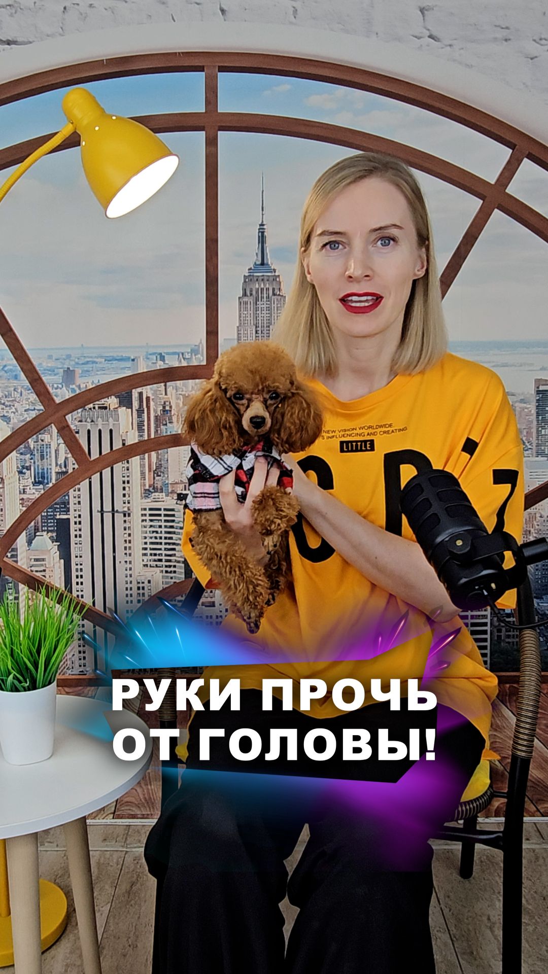 Не любят, но соглашаются #животные смотреть онлайн