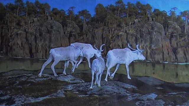 ДИКИЕ ОЛЕНИ ТУНДРЫ__jpg - 3_jpg смотреть онлайн