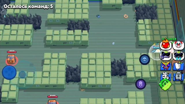 играю в бравл старс