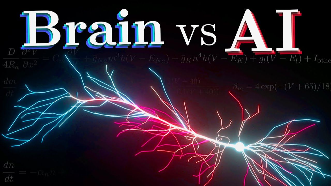 Дендриты Почему биологические нейроны представляют собой Глубокие нейронные Сети смотреть онлайн