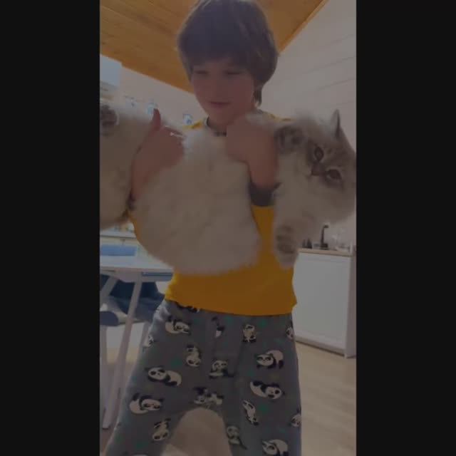 Кот танцует 🙀🙀🙀 кот охотится на мусор смотреть онлайн